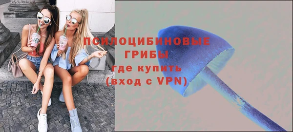 прущие крисы Балахна