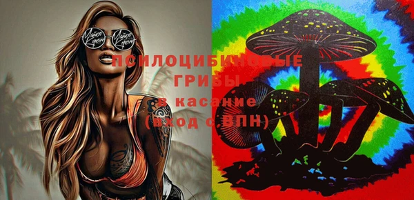 MESCALINE Баксан